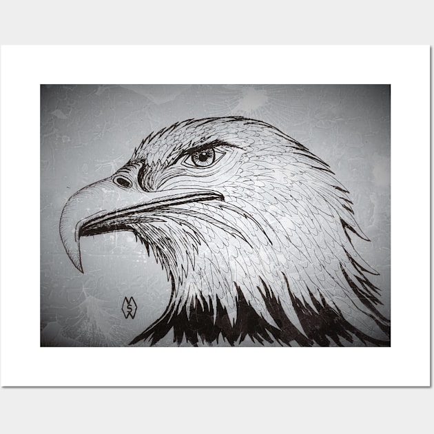 Bald Eagle study Wall Art by Matt Starr Fine Art